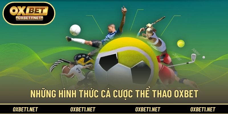 Các lựa chọn cá cược thể thao được quan tâm nhiều hiện nay