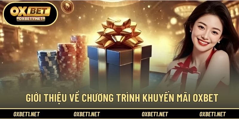 Cấu trúc ưu đãi được xây dựng linh hoạt và hấp dẫn