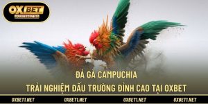 Đá Gà Campuchia – Trải Nghiệm Đấu Trường Đỉnh Cao Tại OXBET