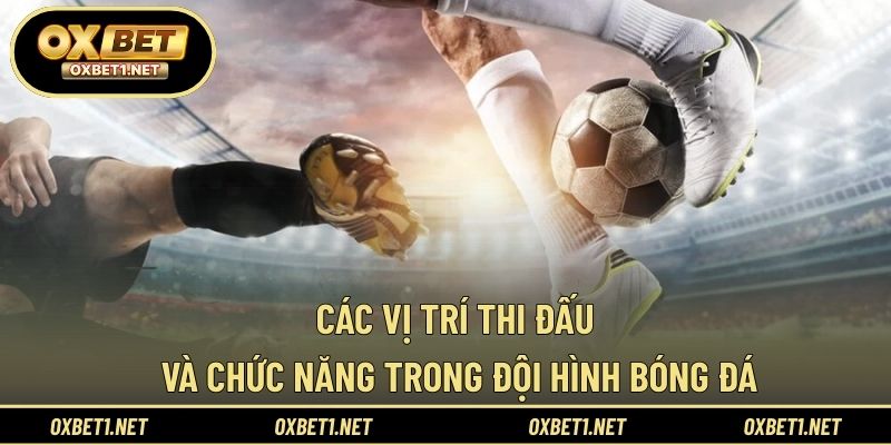 Các vị trí thi đấu và chức năng trong đội hình bóng đá