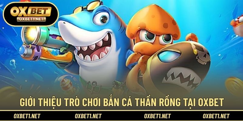Giới thiệu tổng quan về trải nghiệm săn rồng lửa đặc sắc
