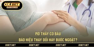 Mơ Thấy Có Bầu - Báo Hiệu Thay Đổi Hay Bước Ngoặt?