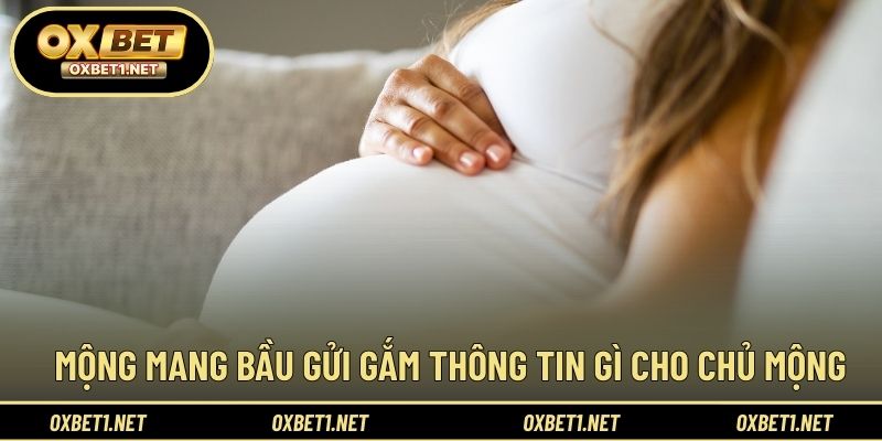 Mộng mang bầu gửi gắm thông tin gì cho chủ mộng 