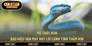 Mơ Thấy Rắn - Báo Hiệu Vận May Hay Lời Cảnh Tỉnh Thầm Kín