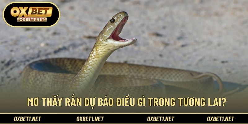 Mơ thấy rắn dự báo điều gì trong tương lai? 