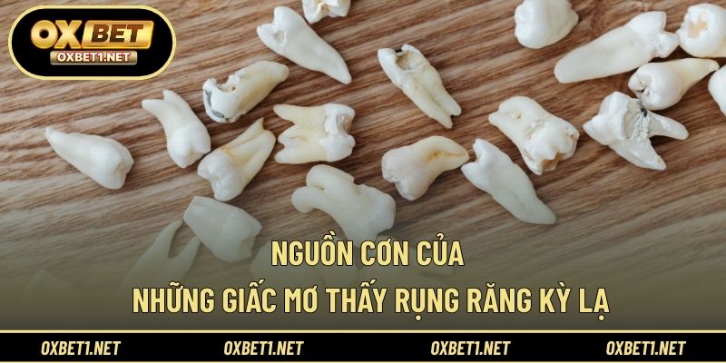 Nguồn cơn của những giấc mơ thấy rụng răng kỳ lạ 