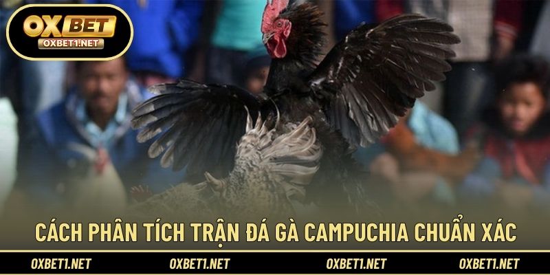 Phương pháp theo dõi và đánh giá đá gà hiệu quả