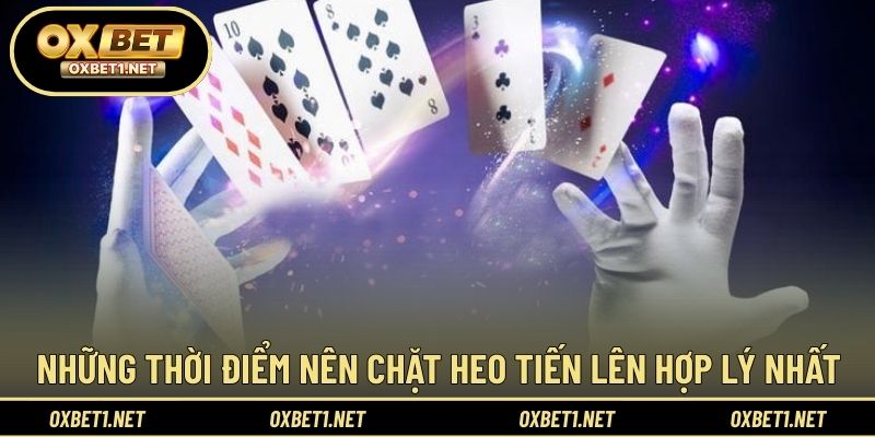 Xác định thời điểm chặt heo mang lại lợi thế cao